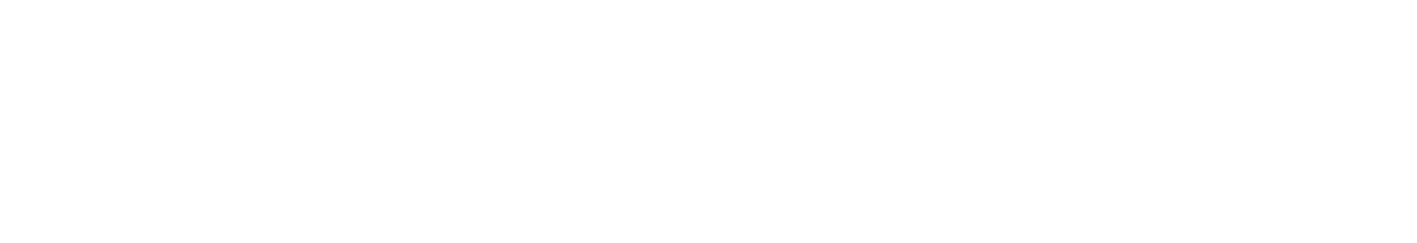 CAA_LOGO_WHITE